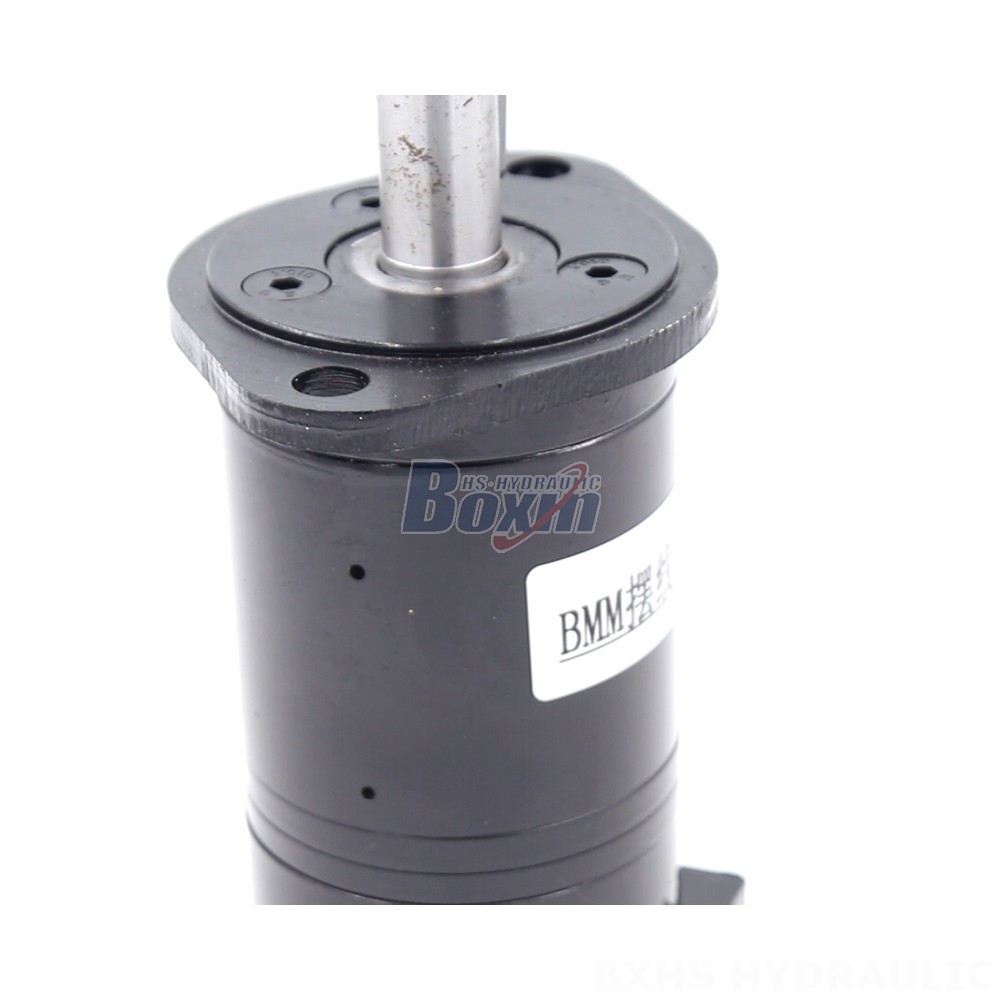 BMM Cycloid Hydraulic Motor 8 cc/r 14 Lpm: OEM & ODM Services Available detail image